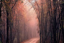 开云体育：张之臻因伤退出蒙特卡洛大师赛资格赛 此前已退出迈阿密大师赛.