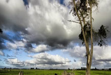 鲁迪：会和全队谈裤袜的事情，他和丁丁&卢卡库是队长候选人.