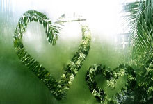 [CBA]常规赛3月15日：山西VS青岛.